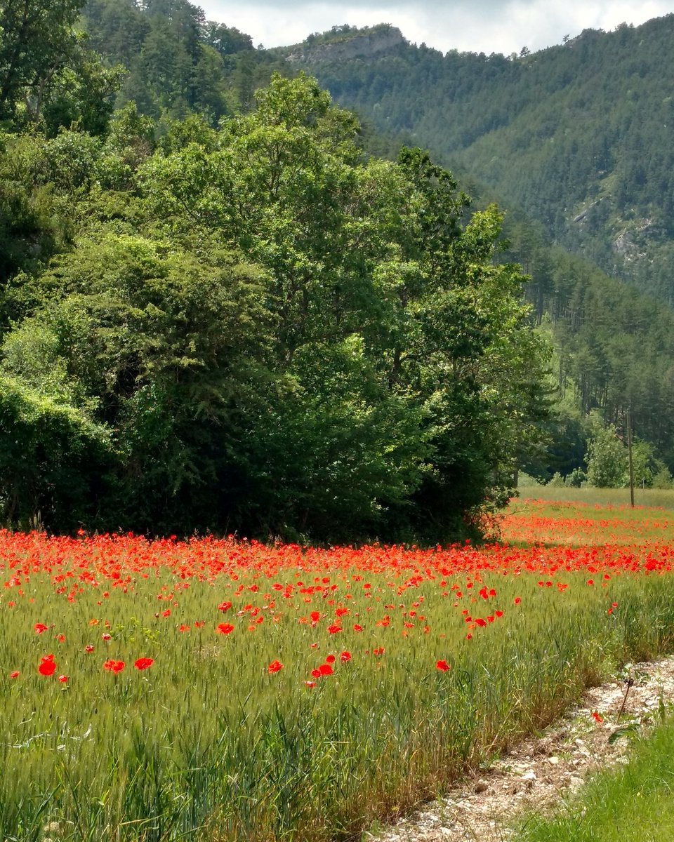 @ADECCOMONTELIMAR C'est l'été... Je cherche un job d'été. Je vais chez Adecco à Montélimar !