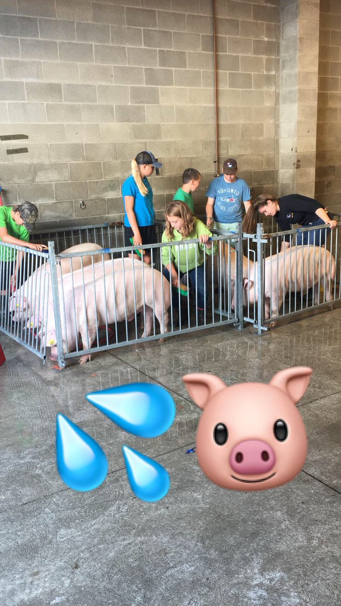 OntarioPorkNews's tweet photo. Getting shone up for the #baconmakerclassic #nextgenerationfarmer #KindOfAPigDeal #ontarioporkproud @OntPorkCongress https://t.co/o1vQwLUKrP