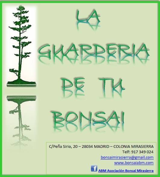 BonsaiABM's tweet photo. Ya está aquí el #verano y las ansiadas #vacaciones! 🌞 En ABM cuidamos de tu #bonsai en el periodo de tus vacaciones. Infórmate! Ven a vernos los MIÉRCOLES de 10:00-14:00 y de 18:00-20:00 y SÁBADOS de 10:00-13:00, llámanos al 917 349 024 o escríbenos a
bonsaimirasierra@gmail.com https://t.co/4Ert9lE284
