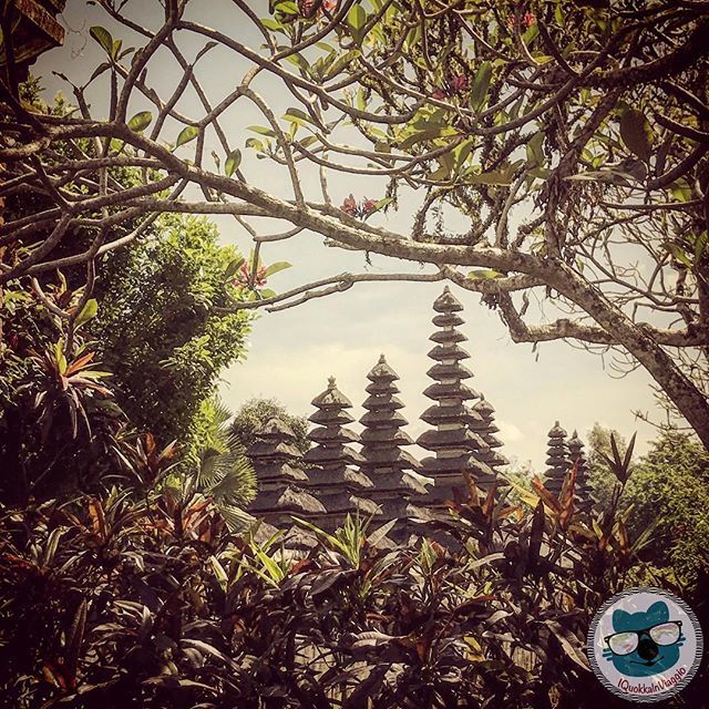 QuokkaInViaggio's tweet photo. Nuovo giorno e nuovo Itinerario! Prima tappa Pura Taman Ayun 🙏🏼🏯 Nuova domanda!!! A Bali ci sono tantissime pagode con piani diversi! Ma qualcuno di voi sa qua l’è il loro significato?!? 🧐🧐 #iquokkainviaggio .
.
.
.
.
#bali #baliindonesia #balida… https://t.co/uOzF9apjn3 https://t.co/1G7by5YwZi