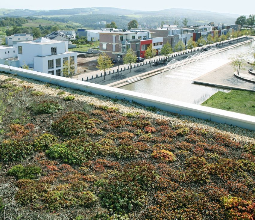 alwitra's tweet photo. Breathe easy with #CleanAirDay 2018 in the UK today. Nothing easier: #greenroofs with #Evalon singly ply membrane are your best choice for clean air! Learn more -> https://t.co/mBpaChhVvH #alwitra #sustainable https://t.co/Bfhu1fAHNU