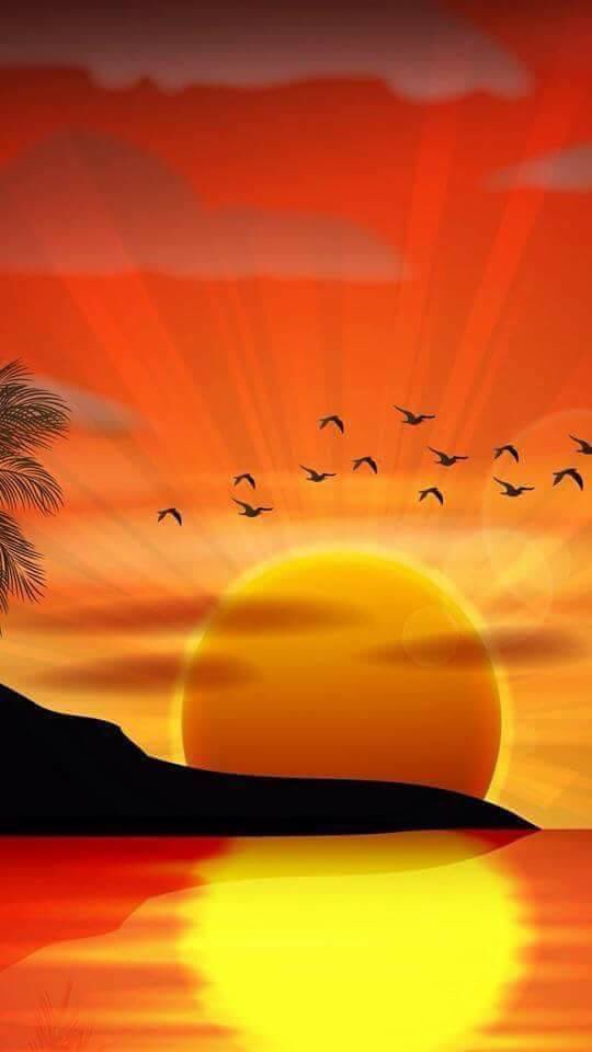 Sabour tweet media