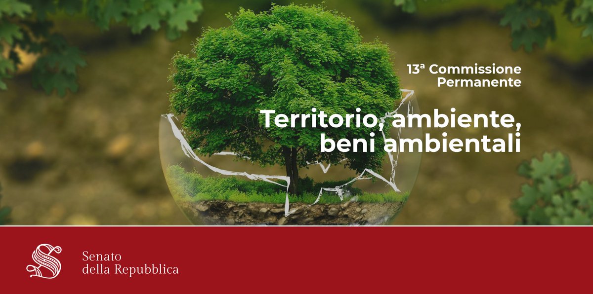 SenatoStampa's tweet photo. In 13a Commissione (#Ambiente) sono stati eletti Presidente la sen. Vilma #Moronese, Vice Presidenti i sen. Gaetano #Nastri e Francesco #Bruzzone, Segretari la sen. #AssuntelaMessina e il sen. Giuliano #Pazzaglini: https://t.co/9xBDlRjxIU #OpenSenato https://t.co/ldrb4Q1fSX