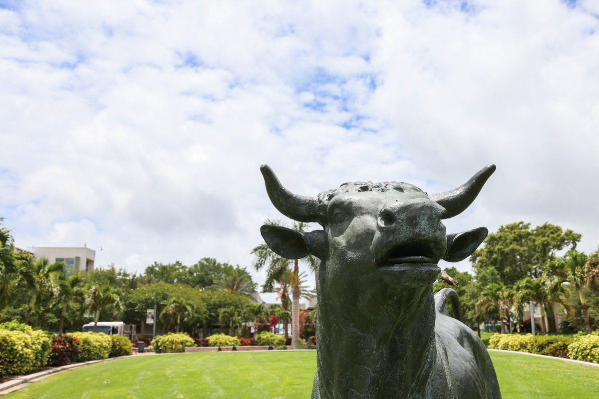 Summer's here! We know one Bull who's tanning already. #Firstdayofsummer #Summer #USFSPBusiness #USFSP #KTCOB #KTCOBSummer