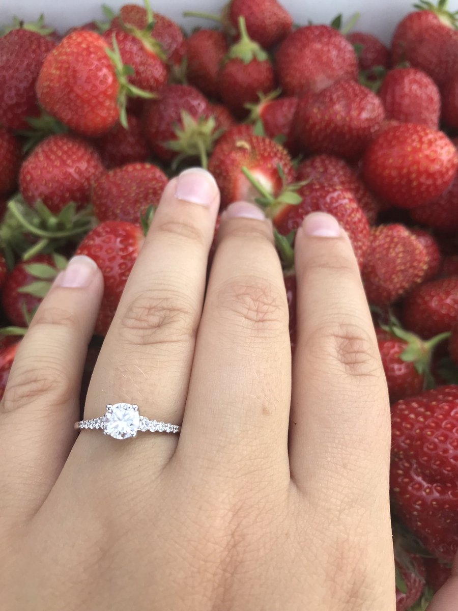 courtney_pacee's tweet photo. The most magical day of my life 😍 days later &amp; I still can’t believe I get to marry my best friend. The first summer we were dating, I took him to the strawberry farm for his first time. 3 years later, he took me back &amp; set higher expectations 😉💍🍓 https://t.co/YZhmgSeXDR