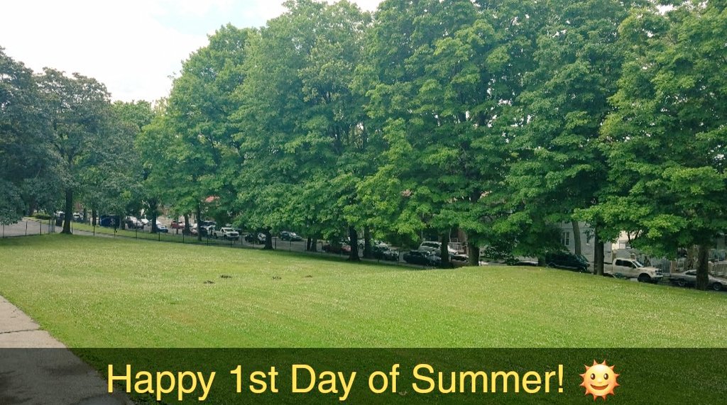 MountToday's tweet photo. Enjoy this beautiful view from the #JHS wing. #Summer2K18 #CampusLife #TheMount #22acres #TheBronx https://t.co/1nr8gzDAHD