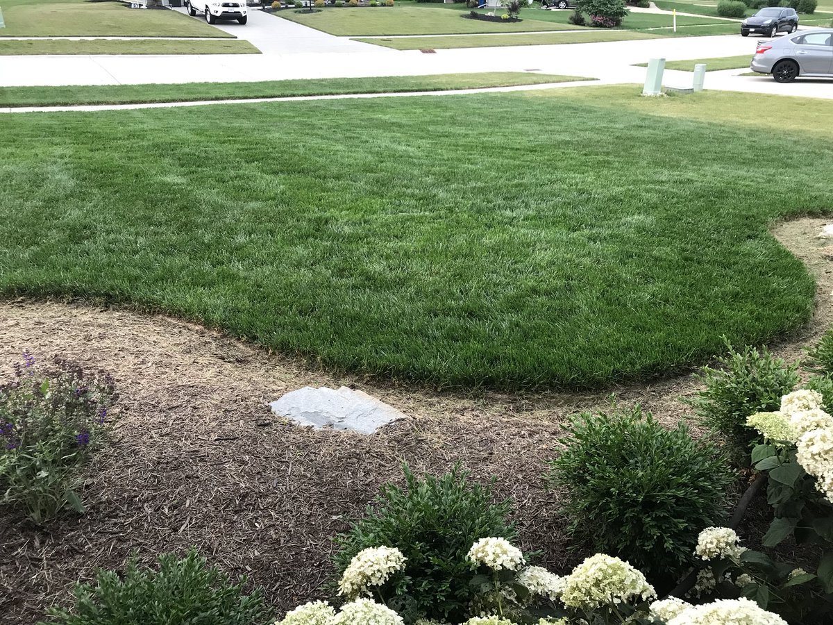 sweil2's tweet photo. Thanks @BarenbrugUSA, @FoliarPak , @WeedProOhio, @healthygrowpro, #Armament.  A year and a half old and it look like it’s been there forever 👍 https://t.co/8vTuW4bN5X