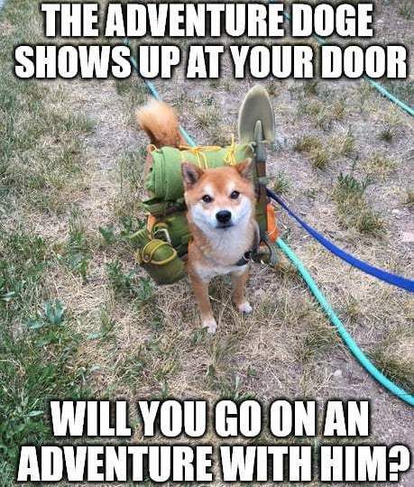 9GAG's tweet photo. He reminds me of Russell in 'Up'
https://t.co/WNmfRuMpQw https://t.co/dhQGDOD4b1