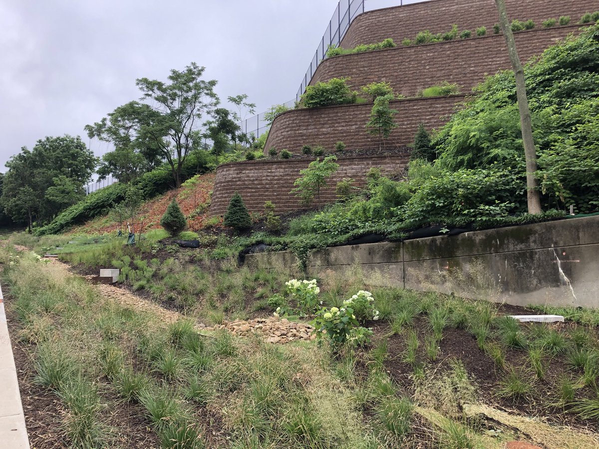 CleanRiversPGH's tweet photo. Thank you @billpeduto and @pgh2o for leading the way with the Citywide Green First plan! #Room2GROW https://t.co/ayhbucYWtY
