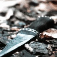 ioannarusinova2's tweet image. You can show us the life of a little girl who became a legendary commander. This story is waiting for millions of people around the world
lexaspinoff.com #TheGrounders
@NetflixLifee @warnerbrostv @FXNetworks @FOXTV @MGM_Studios  @MTV