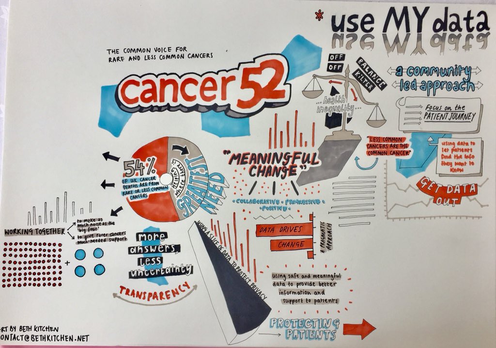 Cancer52org's tweet photo. Fab visual finale for @Cancer52org charities #CSDOC2018. New focus on data for rare & less common cancers.Thank you @PHE_uk for GetDataOut! https://t.co/eOG5myoky8