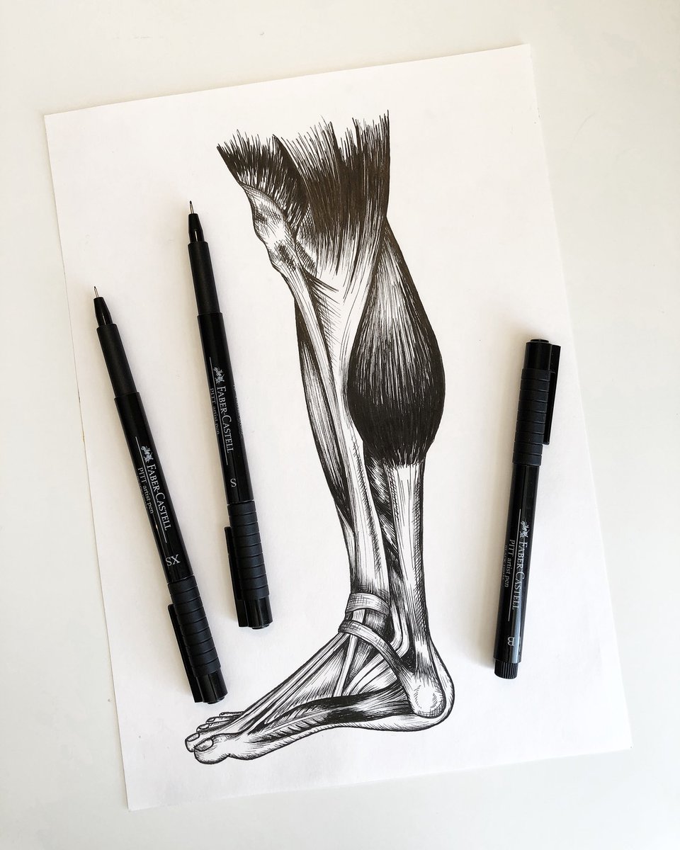 SCillustrations's tweet photo. Finally got around to finishing my foot!! Right in time for the World Cup ⚽️🏆🙌🏼 #anatomy #drawing https://t.co/ehzsgcdVSu