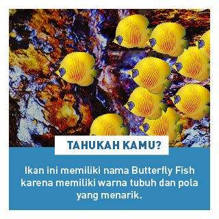 IkanygPemberani's tweet photo. [TAHUKAH KAMU?] 

#dkvbinus #newmedia #newmed #SOD #binus https://t.co/eswVqNpWDu