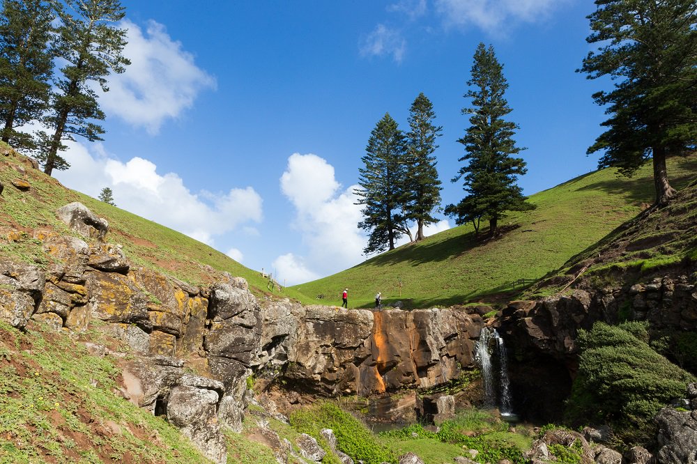 norfolkisland's tweet photo. Chasing waterfalls on #norfolkisland #weekends #cockpit #ruggedcliffs https://t.co/bYH65AfObc