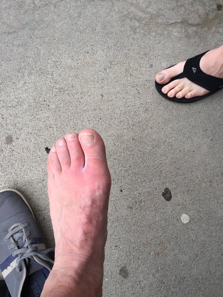 Paul Sedita tweet media