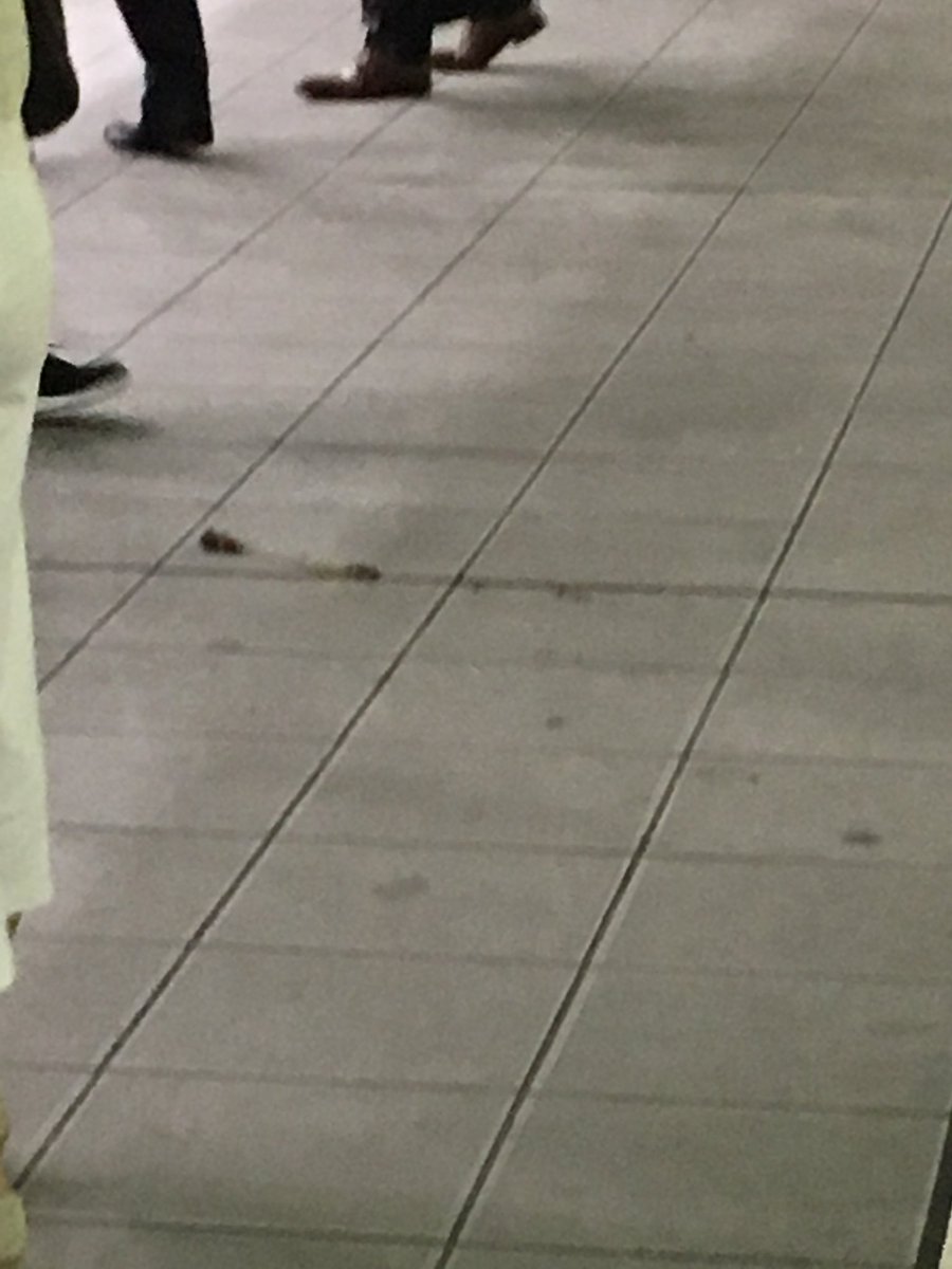 品川駅に人糞が落ちている現場の画像
