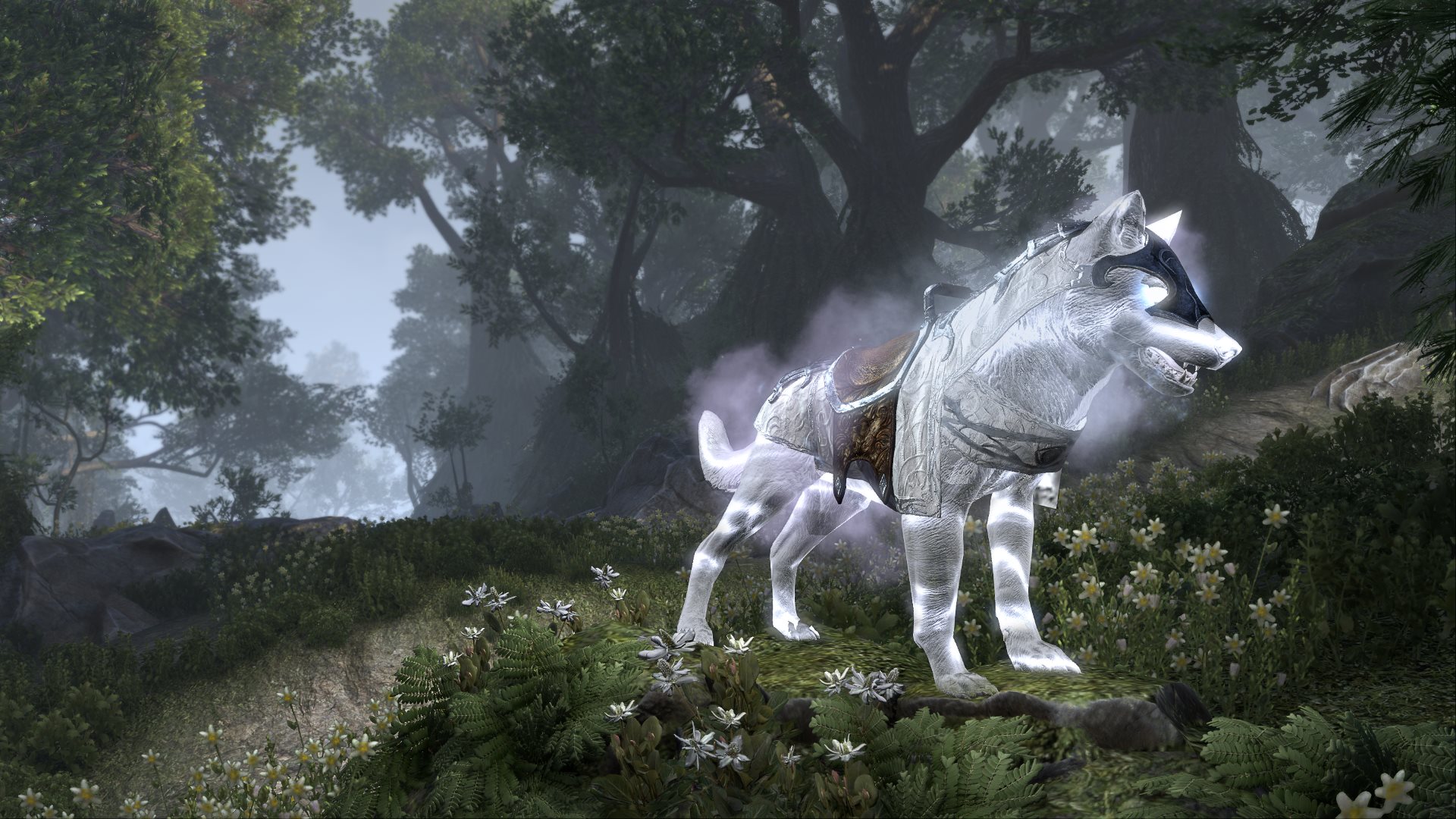 The Elder Scrolls Online Traduzione Italiano 2019 Ps4