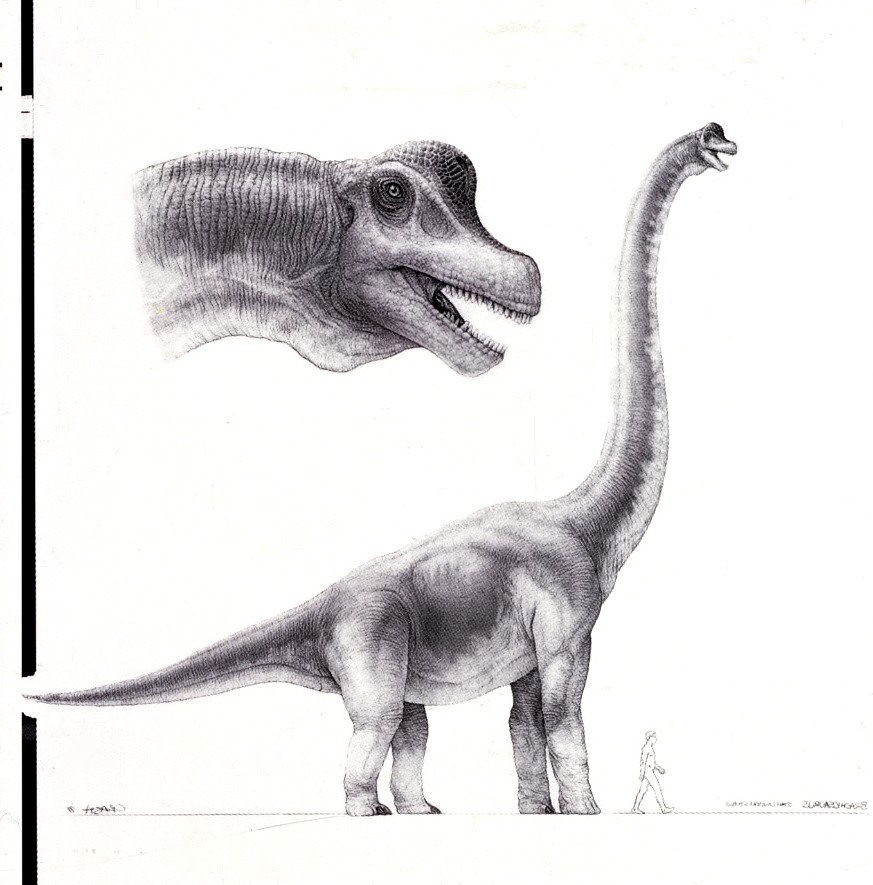 SWinstonSchool's tweet photo. Mark "Crash" McCreery's conceptual design illustration for the Brachiosaurus in Jurassic Park (1993) for Stan Winston Studio. See more: https://t.co/rCwx2wyuXI https://t.co/aOSLu1Qjct