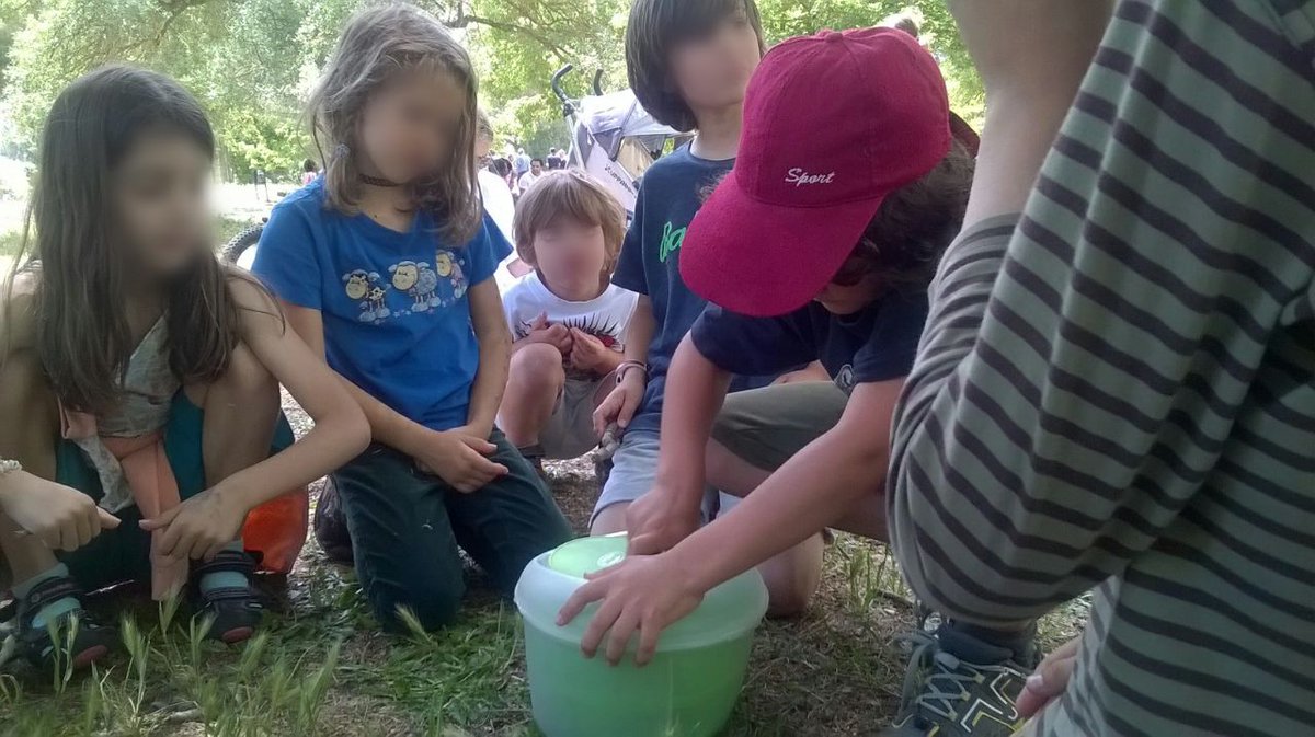 madactiveschool's tweet photo. ¿Qué asignatura tenemos hoy?

 ¡centrifugar un palo!

#niundiasinsalirfuera #juegolibre #worldschooling #grandesypequeñosjuntos https://t.co/cwAnzB0UUG