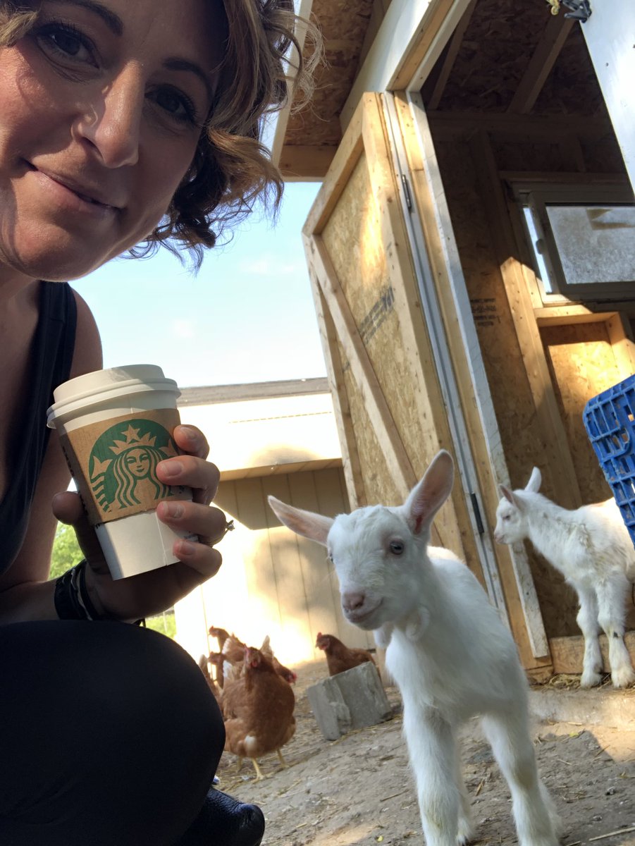 It’s a good start to the day. <a href="/StarbucksCanada/">Starbucks Canada</a> and #babygoats. @growinghopefarm <a href="/fusionmovement/">Natasja Payne</a> #goatyoga