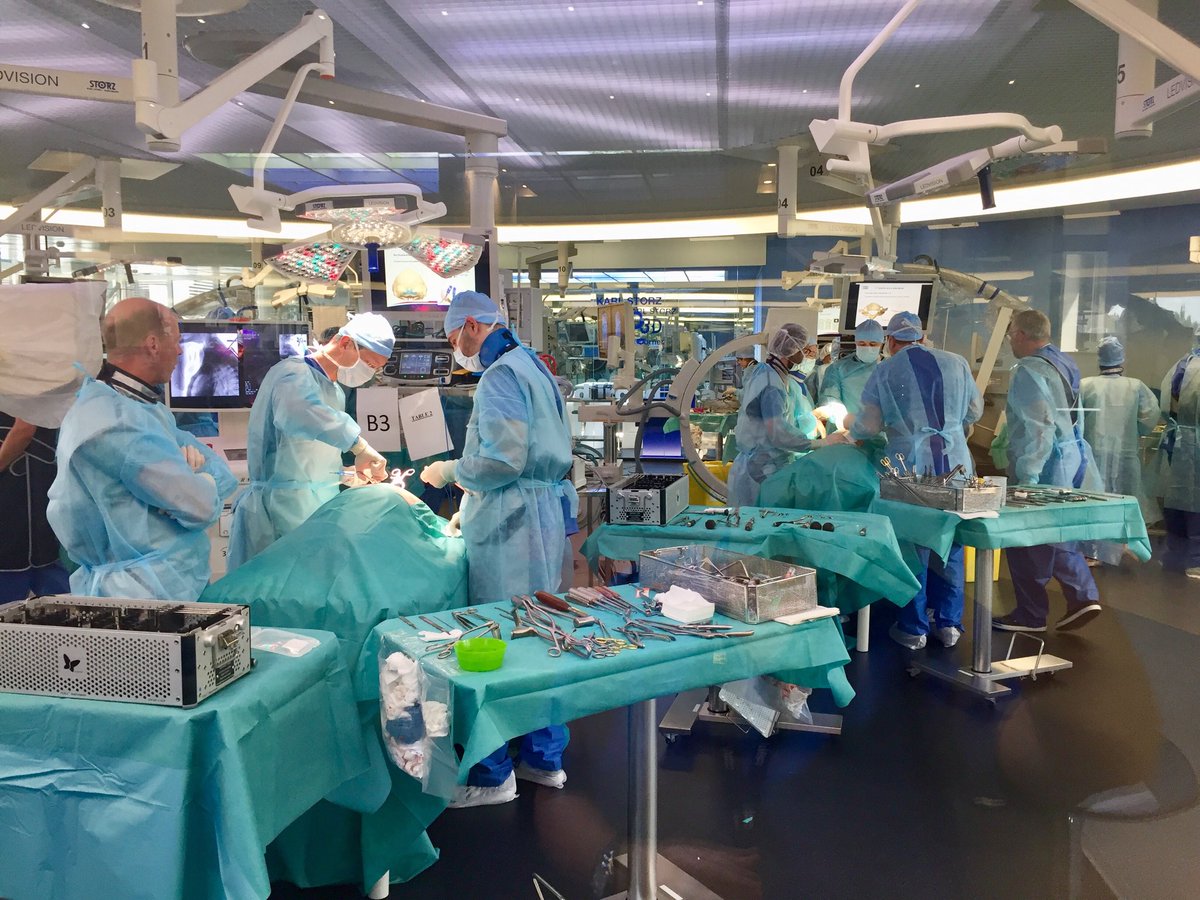EUROSPINESoc's tweet photo. Last CadLab session for #EUROSPINE #eduweek18. Tomorrow it’s all about lectures and case discussions 🗣 https://t.co/KJ7QaCesKO