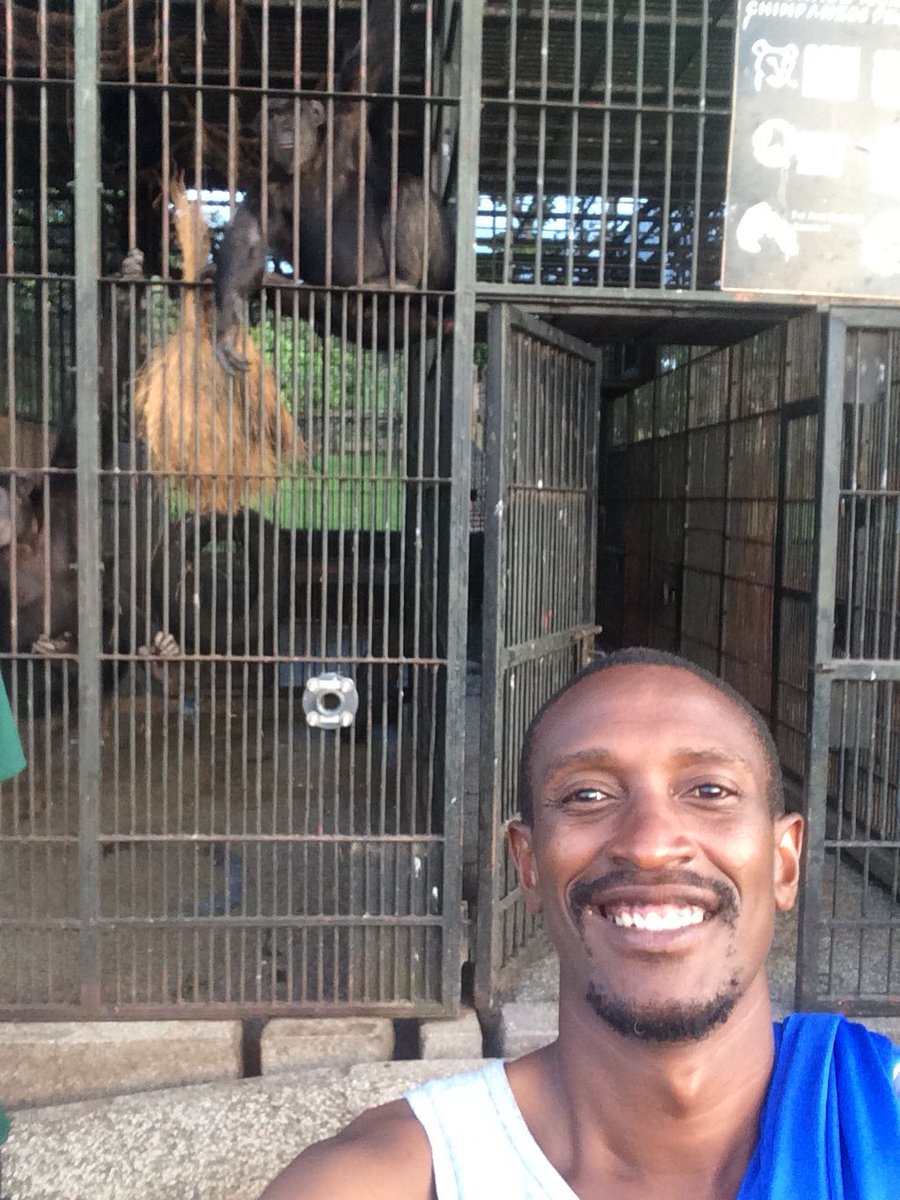 BrianWathum's tweet photo. It’s #NationalSelfieDay🤳 and nothing can separate the chimps from photo bombing this pic.

✋🏾Wait why is that holding facility gate open?🤔🤣🤣 

#ChimpLover
#Conservation https://t.co/DQKVgASuoo