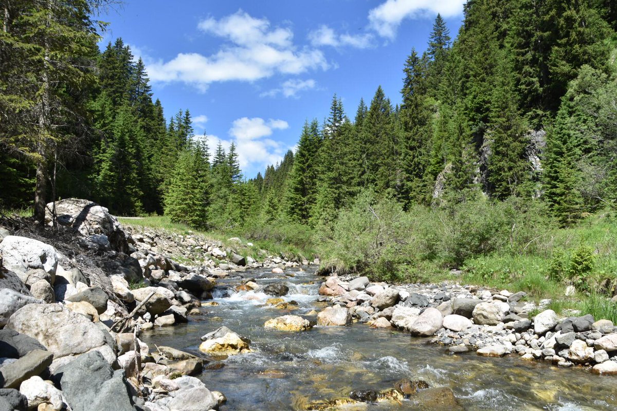 EsiturTravel's tweet photo. Scopri la meraviglia di una Settimana Verde con @EsiturTravel 
#relax #esitur #ariapulita #montagnaestate https://t.co/VVPltFVhDC