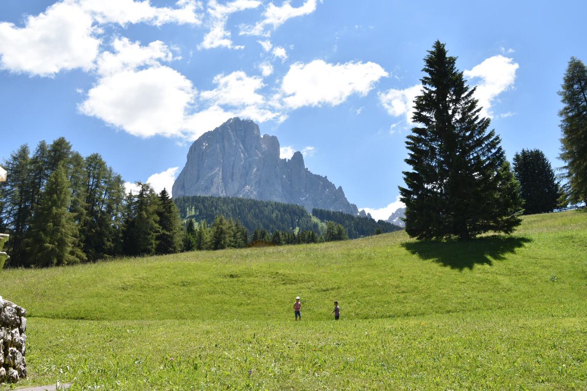 EsiturTravel's tweet photo. Scopri la meraviglia di una Settimana Verde con @EsiturTravel 
#relax #esitur #ariapulita #montagnaestate https://t.co/VVPltFVhDC