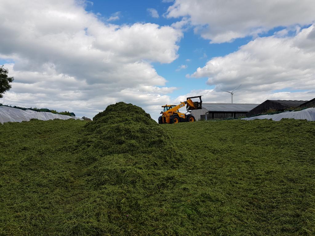 BainbridgeFarms's tweet image. Roll, roll and roll #eatsleeprepeat #silage18 and when you get bored start again 🐮🐑☘👍