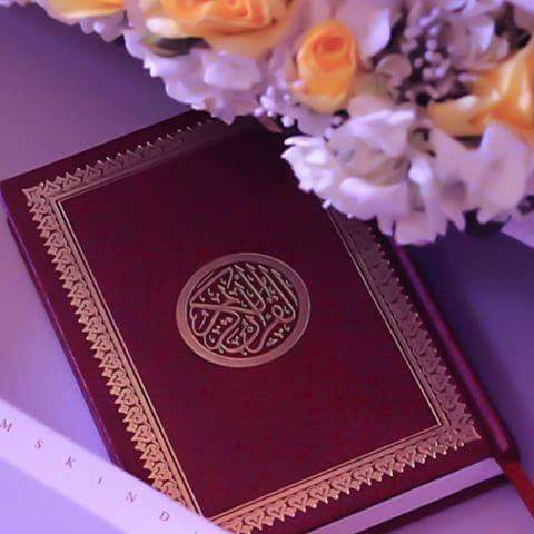 hadeer1286's tweet photo. #NewProfilePic https://t.co/8pNLpLLWl9