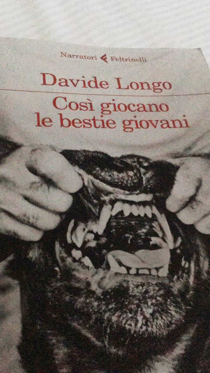 Fantastico! Meglio di Fred Vargas! La risposta nordista a Montalbano!
Ok, la copertina è un tantino aggressiva...