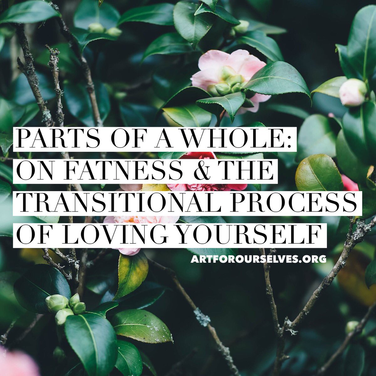 ArtForOurselves's tweet photo. being body positive is not a constant happy state - it is HARD WORK. It's a process/movement - not just a state of being. READ ON! 

https://t.co/0Q3GgSdVd3

#bodypositive #queer #queerselflove #lgbt #qtpoc #qtbipoc #self #selflove #body #bodies #bodylove #fat #sexy #fatness https://t.co/JDKDFsua3x