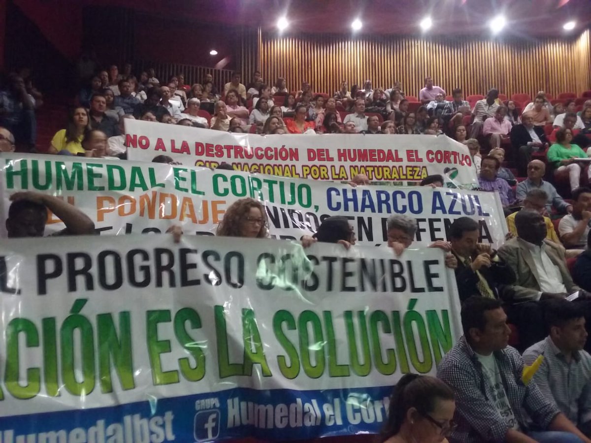 ElCalenoAlex's tweet photo. Así avanza #AudienciaPublica por la defensa de los #humedales de #Cali. Exigimos la reubicación de las tres #Megaobras de @METROCALI @NicolasOrejuela @MauriceArmitage. Fuera del Valle Sagrado de los Lilies, Fuera del @HumedalBST. #NoMasAbusoDeAutoridad. https://t.co/zjzxe1Z8Zu