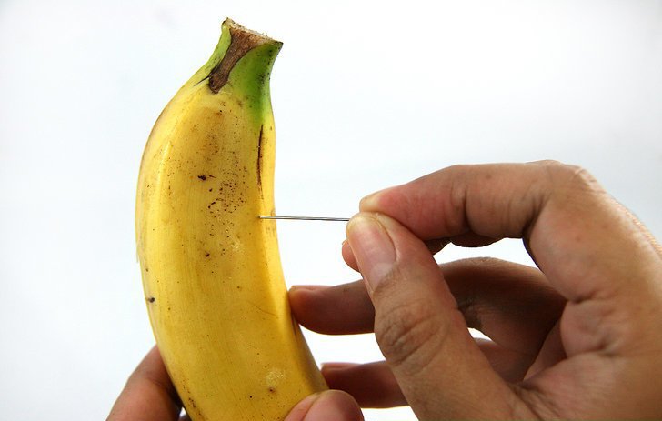 Welp tonight we travel to banana land for a game

Trying voodoo now to end this curse

#StartTheSizzle