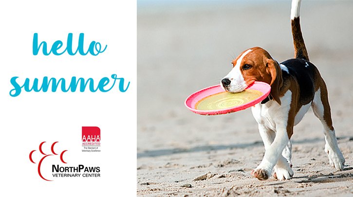 NorthPaws's tweet image. Happy First Day of Summer!