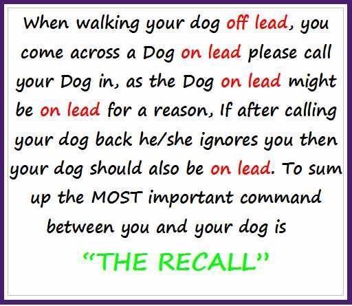 This would avoid a lot of conflict and upset.... #dogs #doglovers #thepetsbiz #petsitesunite