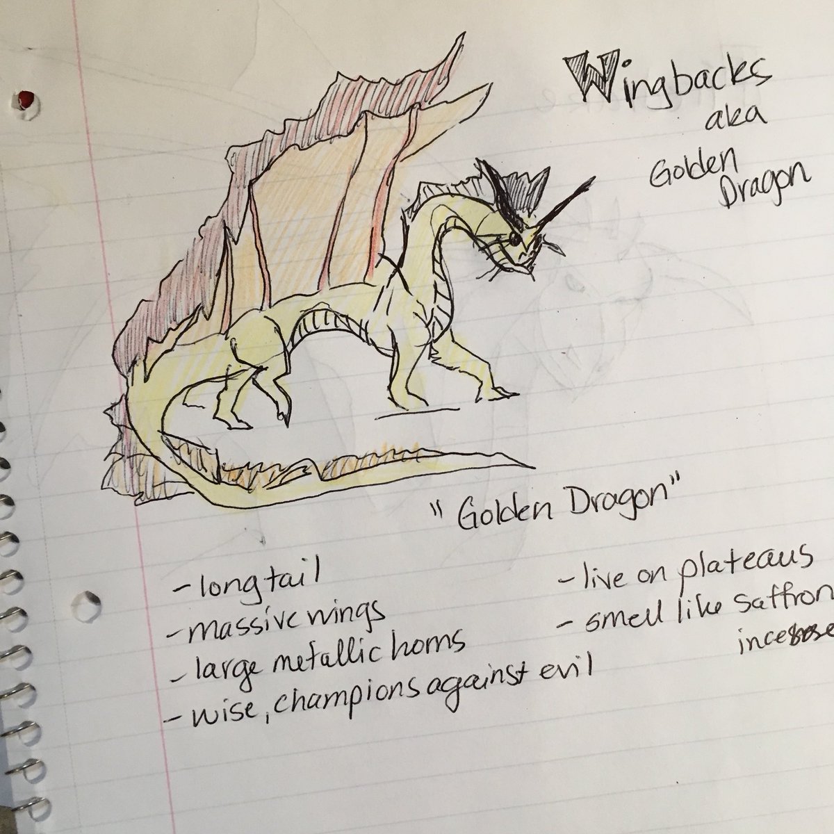 LASundbergArt's tweet photo. When youβre in research mode for important #naturecenter topics. #naturalistproblems #summercamp #imagination
PS happy #SummerSolstice https://t.co/aTuLw6dl4s