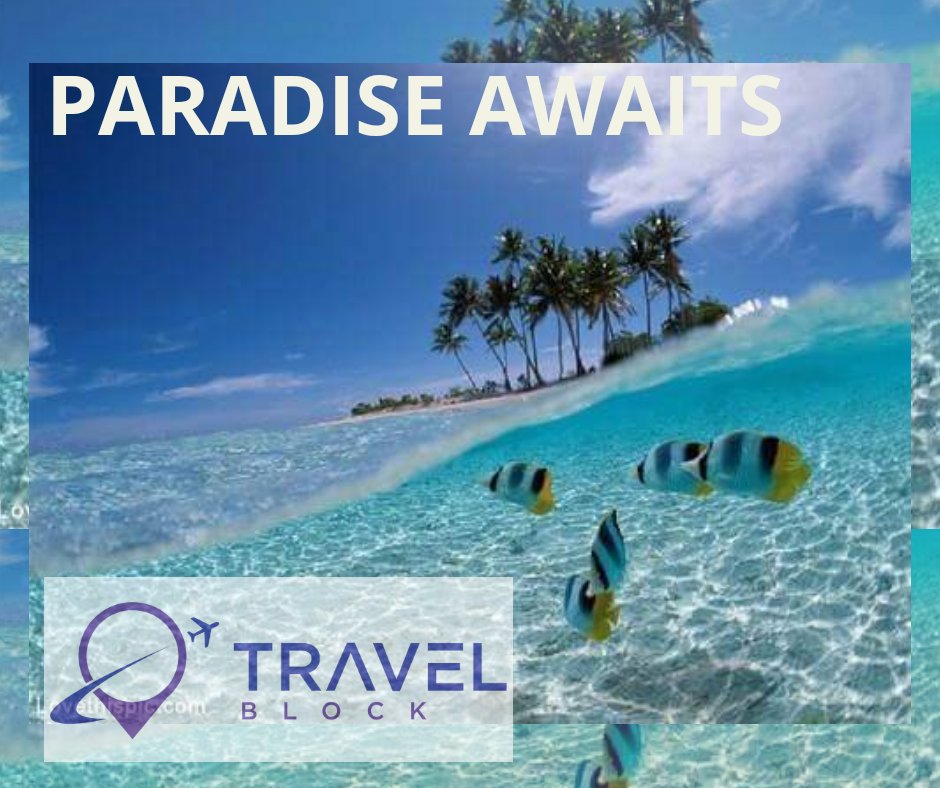 JaneLee007's tweet photo. Travel in pure Luxury whilst saving 30%-60% with Travelblock! #vacation #holiday #travel #luxury #dreams #premium #crypto #tokensale @trvlblock @FourSeasons @HiltonHotels @Karismahotels @RitzCarlton @sheratonhotels #WorldCup https://t.co/tZLoatndJ8 https://t.co/LqGZWHXGqU