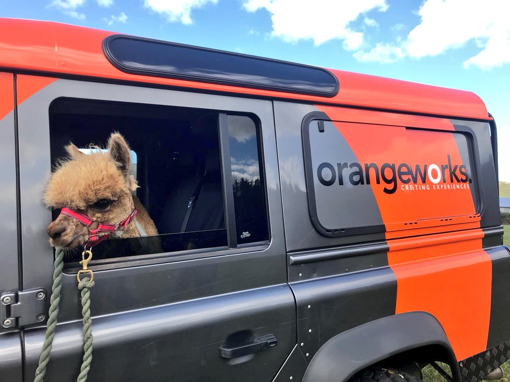 OrangeworksIE's tweet photo. Our fav photo from today! @K2Alpacas wanted to join the rest of the #Adventure #WicklowChallenge - Big thanks to Joe for supporting our event today! https://t.co/XtYIWVblCI