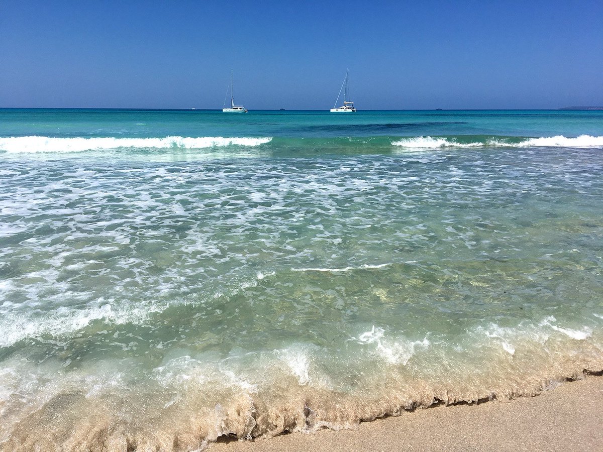 RamonVillero's tweet photo. Ses Salines
https://t.co/WteXbdh8ZP https://t.co/P4xJVhip8t