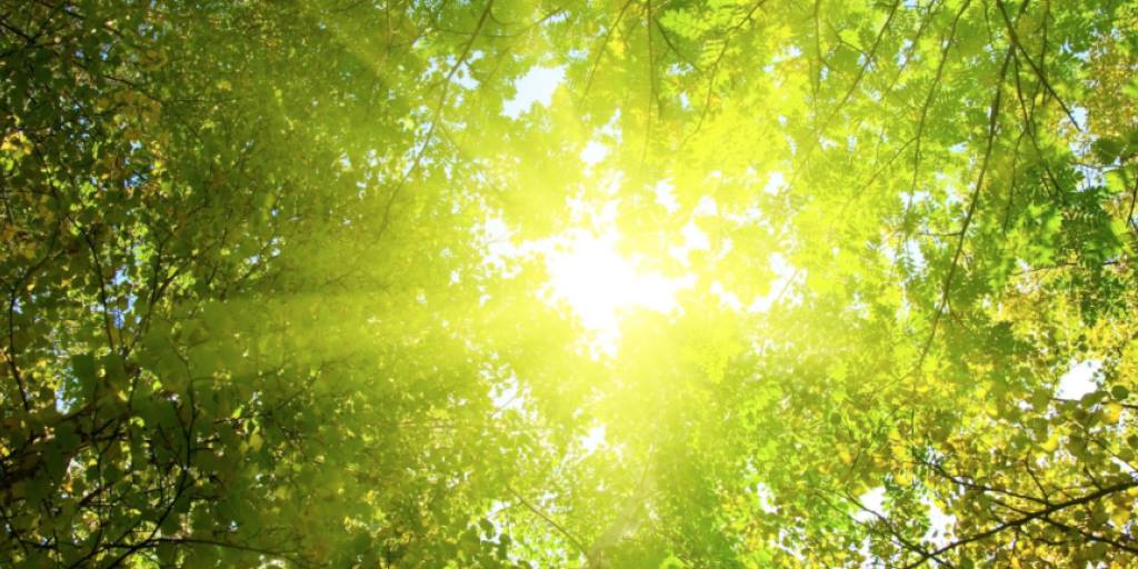 CanSerola's tweet photo. Today is the Summer Solstice moment to make the balance of body, mind and spirit. #verano #summer #pause #relax #nature #silence  #viaje #viatge #vouyage #travelling #voyageur #viajero #honeymoon #boutiquehotel #hotelconencanto #hotel #experience  #Besalu #spain https://t.co/PEeim8rVtN