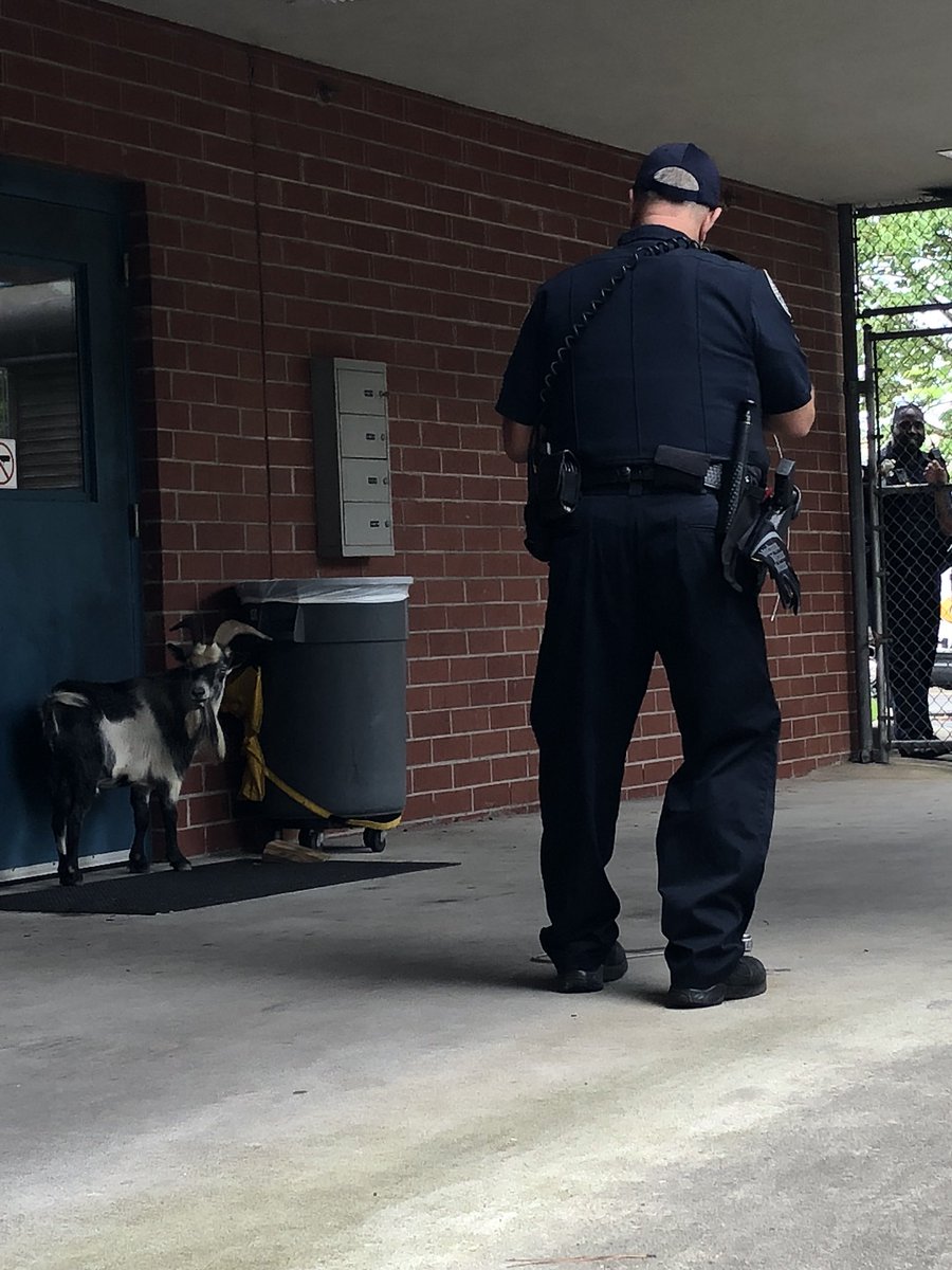 ChambleePDNews tweet media