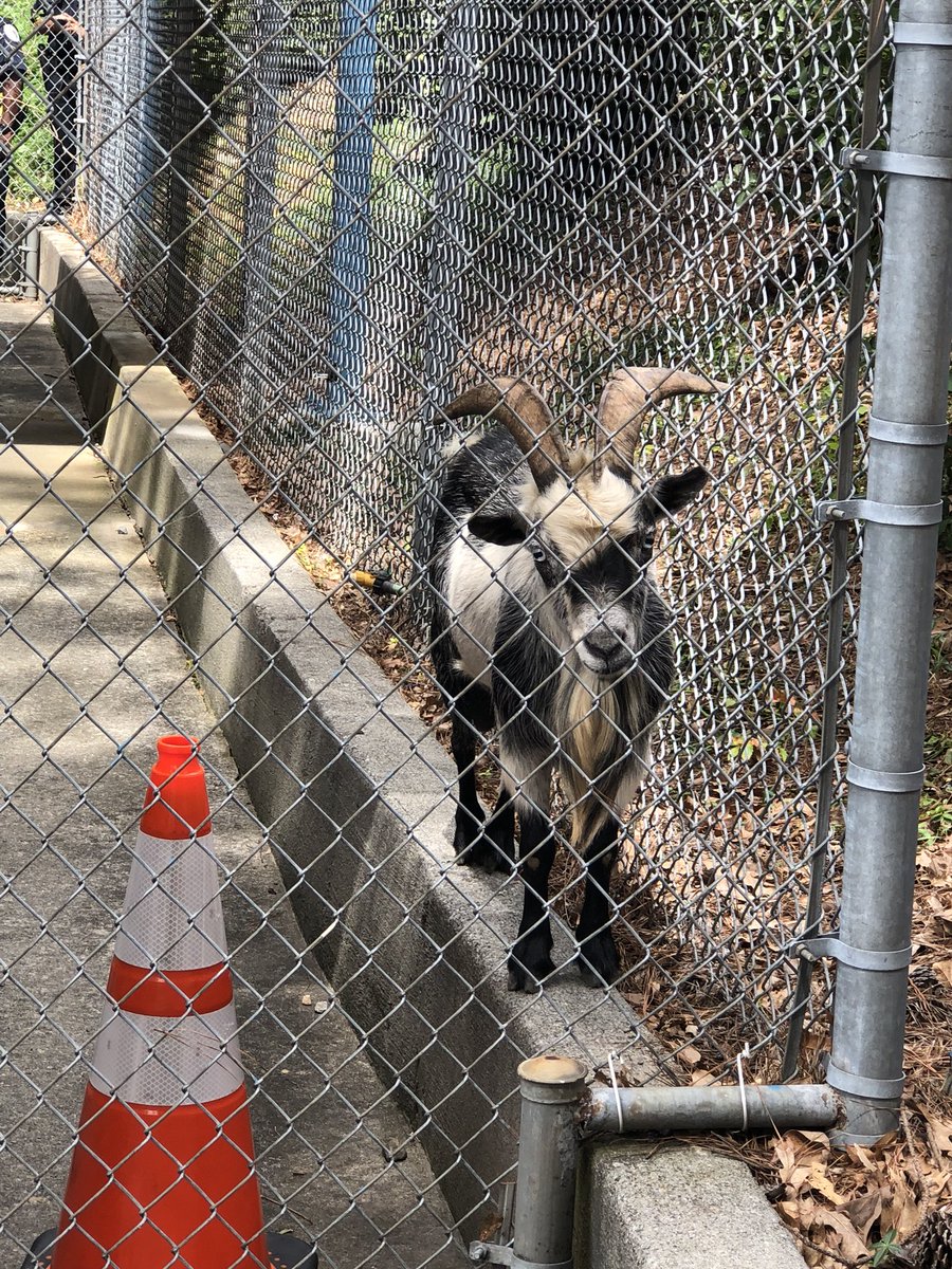 ChambleePDNews tweet media