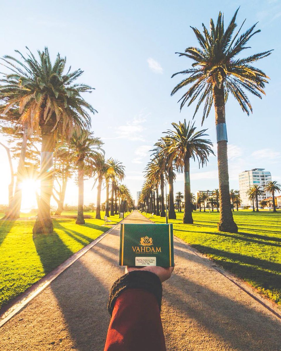 VAHDAM_India's tweet photo. Getting some sun-kissed love from this gorgeous boulevard St Kilda, Australia! 
#teatime https://t.co/EsdUimoA5k