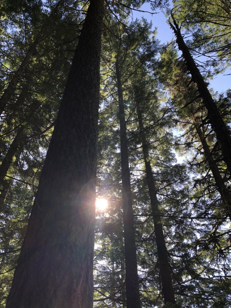 ForestServiceNW's tweet photo. Happy #FirstDayofSummer! Longer days mean more adventures &amp; fabulous outdoor memories. Go have yours today! #SummerSoltice https://t.co/3eBdC7ueb1