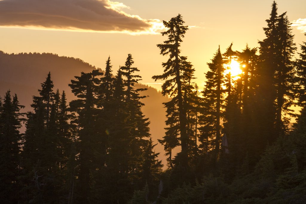 ForestServiceNW's tweet photo. Happy #FirstDayofSummer! Longer days mean more adventures &amp; fabulous outdoor memories. Go have yours today! #SummerSoltice https://t.co/3eBdC7ueb1