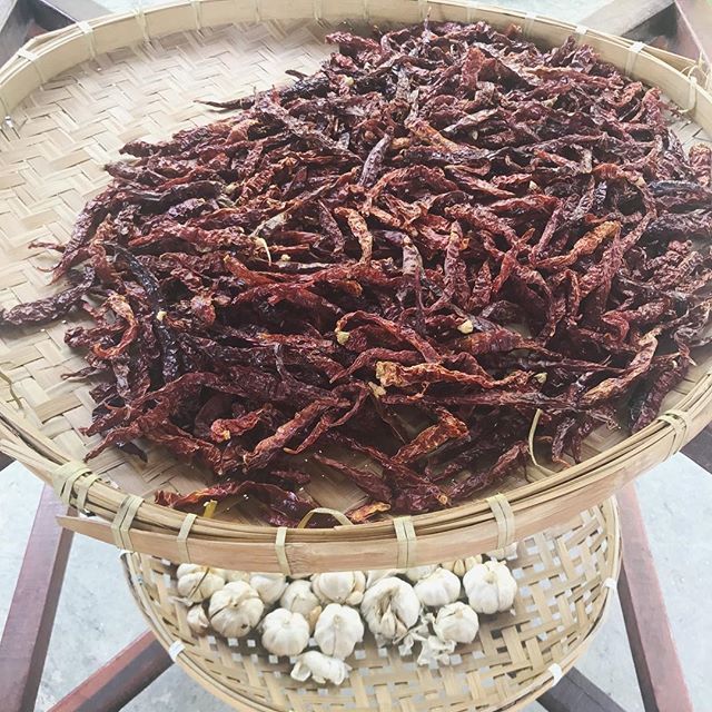 kid_brut's tweet image. The original dehydrator. Powered by sunlight •
#sunpowered #naturalmethods #naturalmaterials #sunfood #fullspectrumsunlight #kampungstyle #malaysia ift.tt/2tj5iMs