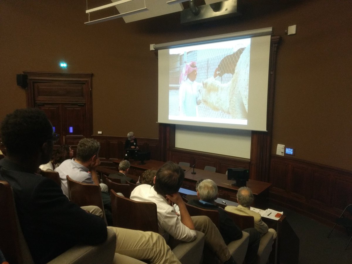 QuirineTB's tweet photo. Looking forward to Farag et al paper coming out on camel movement patterns and demographic transition, implications for MERS control.#EIPR2018 @MarionKoopmans https://t.co/nlSMVti2G1