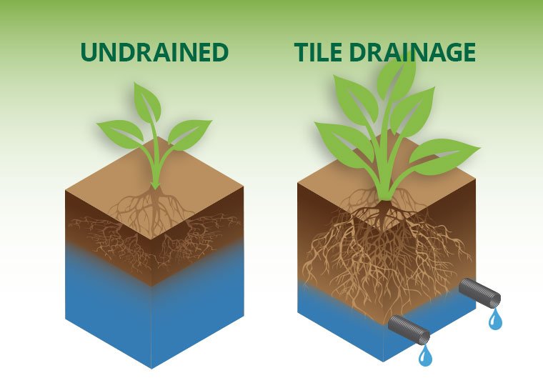 NextGenDrainage's tweet photo. DYK Tile drainage has been improving crop roots since 200 BC in Egypt? Hope they got their downstream landowner signatures! #tilefever https://t.co/W8HBOrPEjc