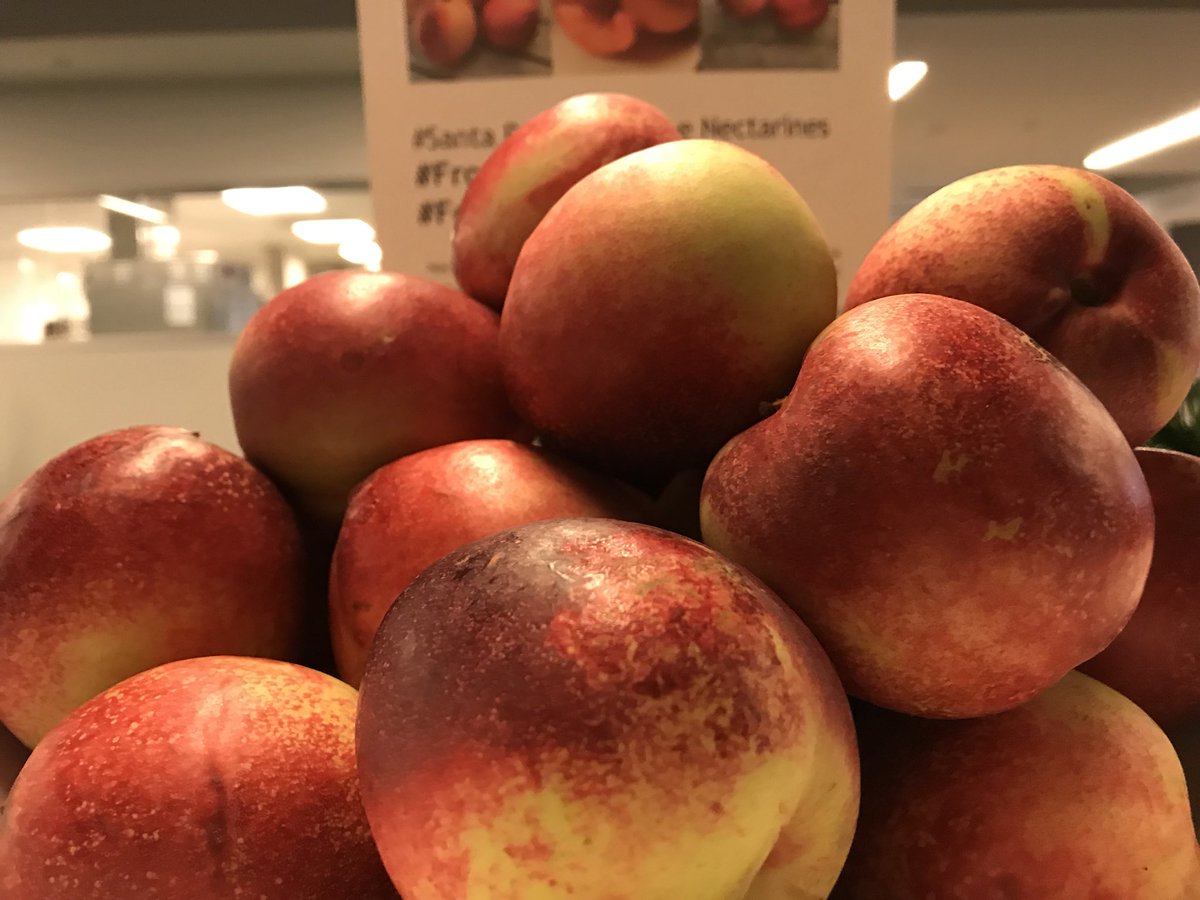 bonappetweet's tweet photo. Hands Down the best fruit in town! Check out our seasonal hand fruit from our local #FeaturedFarms throughout the cafeโs.
#FrogHollowFarms#FullBellyFarms https://t.co/SJhDdKJoUy